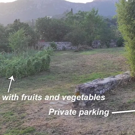 Grecia Vilă